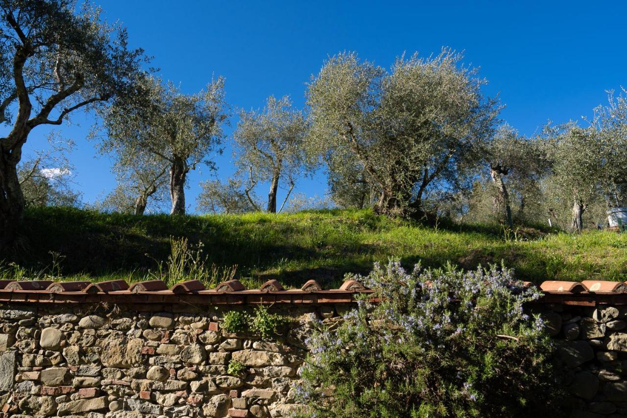 Alloggi In Villa Storica Πέσια Εξωτερικό φωτογραφία